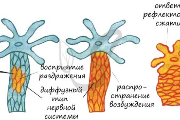 Ссылка на мегу тор актуальная